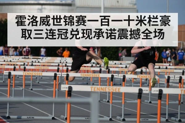 110m hurdles race - kaiyun